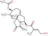 Hiyodorilactone B