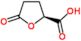 (2R)-5-oxotetrahydrofuran-2-carboxylate