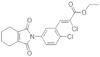 CINIDON-ETHYL