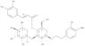 b-D-Glucopyranoside,2-(3-hydroxy-4-methoxyphenyl)ethyl 3-O-(6-deoxy-a-L-mannopyranosyl)-,4-[(2E)-3-(3,4-dihydroxyphenyl)-2-propenoate]