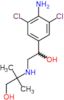 2-{[2-(4-amino-3,5-dichlorophenyl)-2-hydroxyethyl]amino}-2-methylpropan-1-ol