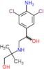 Hydroxymethylclenbuterol