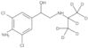 4-Amino-3,5-dichloro-α-[[[1-(methyl-d<sub>3</sub>)ethyl-1,2,2,2-d<sub>4</sub>]amino]methyl]benzenemethanol
