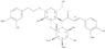 b-D-Glucopyranoside,2-(3-hydroxy-4-methoxyphenyl)ethyl 3-O-(2,3-di-O-acetyl-6-deoxy-a-L-mannopyran…