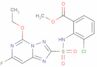 Cloransulam-methyl