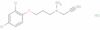 Clorgyline hydrochloride