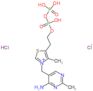 3-[(4-amino-2-methylpyrimidin-5-yl)methyl]-5-(2-{[hydroxy(phosphonooxy)phosphoryl]oxy}ethyl)-4-met…