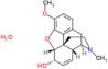 Morphinan-6-ol, 7,8-didehydro-4,5-epoxy-3-methoxy-17-methyl-, monohydrate, (5α,6α)-