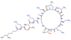 (6R)-N-[(2S)-4-amino-1-{[(2S,3R)-1-{[(2S)-4-amino-1-oxo-1-{[(3S,6R,9S,12S,15R,18S,21S)-6,9,18-tris(2-aminoethyl)-3-[(1R)-1-hydroxyethyl]-12,15-bis(2-methylpropyl)-2,5,8,11,14,17,20-heptaoxo-1,4,7,10,13,16,19-heptaazacyclotricosan-21-yl]amino}butan-2-yl]am