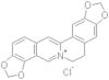 Coptisine chloride