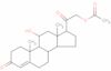corticosterone 21-acetate crystalline