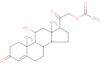 Corticosterone acetate