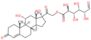 Cortisol, glucuronide