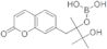 Coumarin-7-pinacolboronate