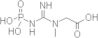 phosphocreatine