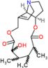 (14aR,14bR)-6-hydroxy-3,4,5-trimethyl-3,4,5,6,9,11,13,14,14a,14b-decahydro[1,6]dioxacyclododecino[…