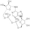 Cyclic ADP-ribose