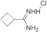 Cyclobutanecarboxamidine hydrochloride