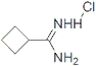 Cyclobutanecarboximidamide hydrochloride