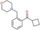 cyclobutyl-[2-(morpholinomethyl)phenyl]methanone