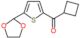 cyclobutyl-[5-(1,3-dioxolan-2-yl)-2-thienyl]methanone