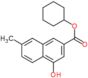 cyclohexyl 4-hydroxy-7-methyl-naphthalene-2-carboxylate
