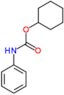 cyclohexyl phenylcarbamate