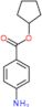 cyclopentyl 4-aminobenzoate