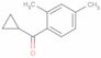 Cyclopropyl(2,4-dimethylphenyl)methanone