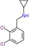 N-(2,3-dichlorobenzyl)cyclopropanamine