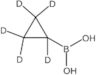 B-(Cyclopropyl-1,2,2,3,3-d5)boronic acid