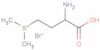 DL-Methionine methylsulfonium bromide