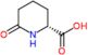 (2R)-6-oxopiperidine-2-carboxylic acid