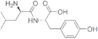 D-Leucyl-L-tyrosine