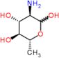 2-amino-2,6-dideoxy-D-glucose