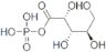 A-D-xylose 1-phosphate*di(monocyclohexylammonium)