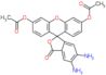 diacetato de 5,6-diamino-3-oxo-3H-espiro[2-benzofurano-1,9'-xanteno]-3',6'-diyl