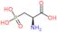 2-Amino-3-phosphonopropionic acid