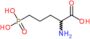 2-Amino-5-phosphonovaleric acid