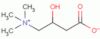 carnitine