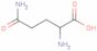 Glutamine