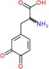 3-(3,4-dioxocyclohexa-1,5-dien-1-yl)alanine