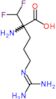N~5~-(diaminomethylidene)-2-(difluoromethyl)ornithine