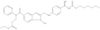 N-[2-[4-[N-(Hexyloxycarbonyl)amidino]phenylaminomethyl]-1-methyl-1H-benzimidazol-5-ylcarbonyl]-N-(2-pyridyl)-beta-alanine ethyl ester