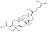 (3beta,5xi,14beta)-dammara-20,24-dien-3-yl acetate