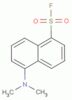 5-dimethylaminonaphthalene-1-sulfonyl fluoride