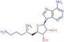 Decarboxylated AdoMet