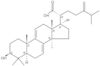 Dehydroeburicoic acid