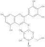 Delphinidin 3-O-β-glucoside