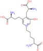 (2R)-2-amino-6-{4-[(2S)-2-amino-2-carboxyethyl]-3-[(3S)-3-amino-3-carboxypropyl]-5-hydroxypyridinium-1-yl}hexanoate